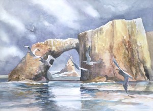 channel islands anacapa arch