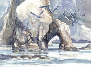 Channel Islands Anacapa Arch