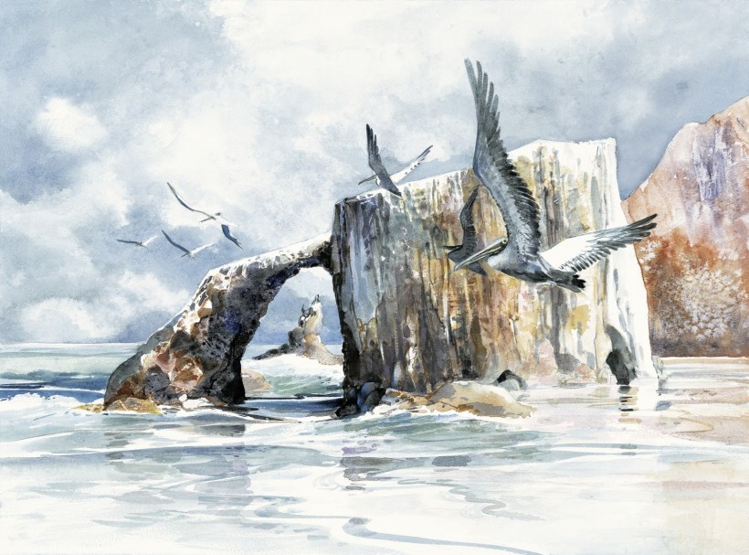 Anacapa Arch Channel Islands National Park watercolor painting Margy Gates