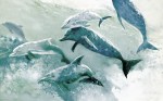Blue dolphins watercolor painting Margy Gates